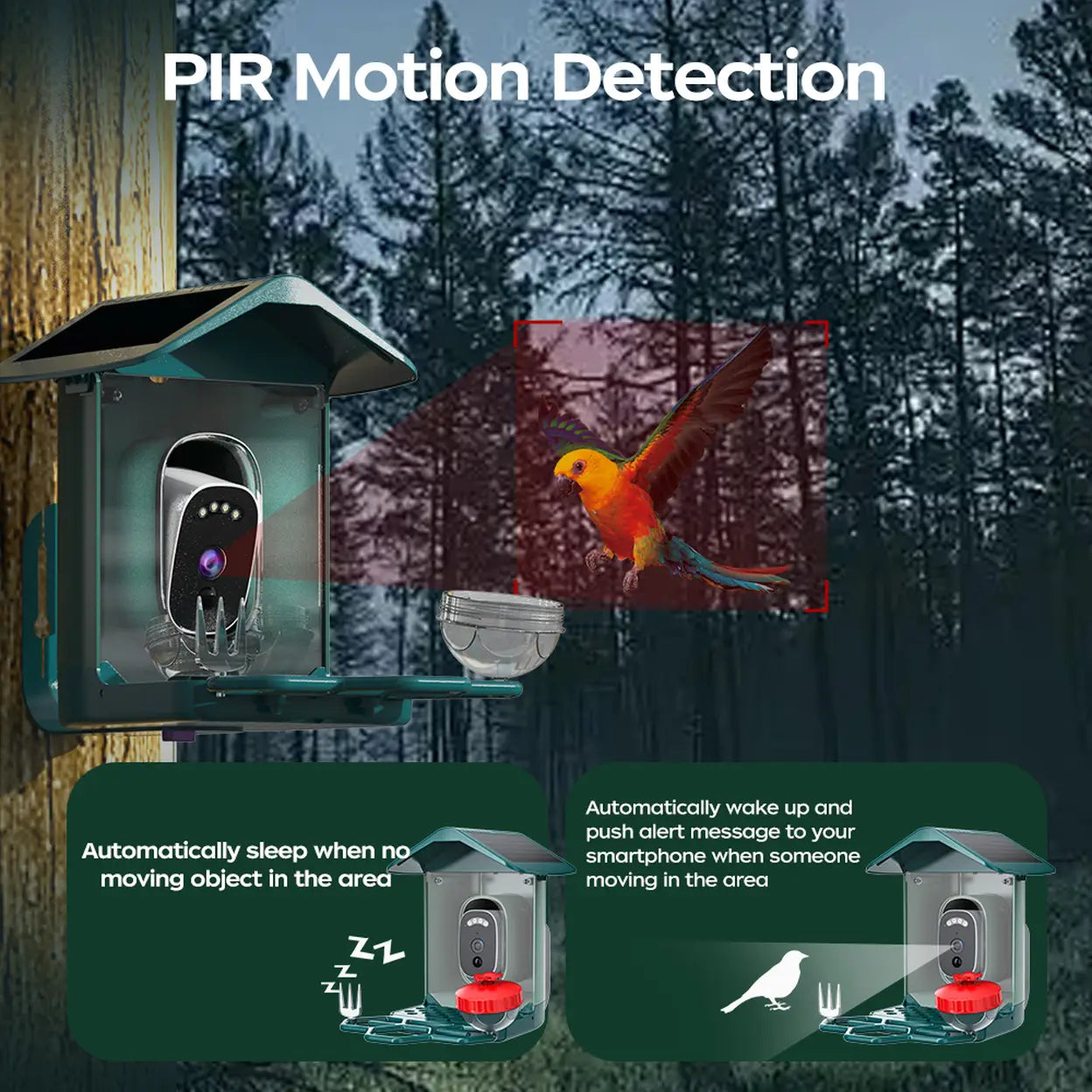 JOOAN Solar Smart Bird Feeder with 2K Camera & Live App View