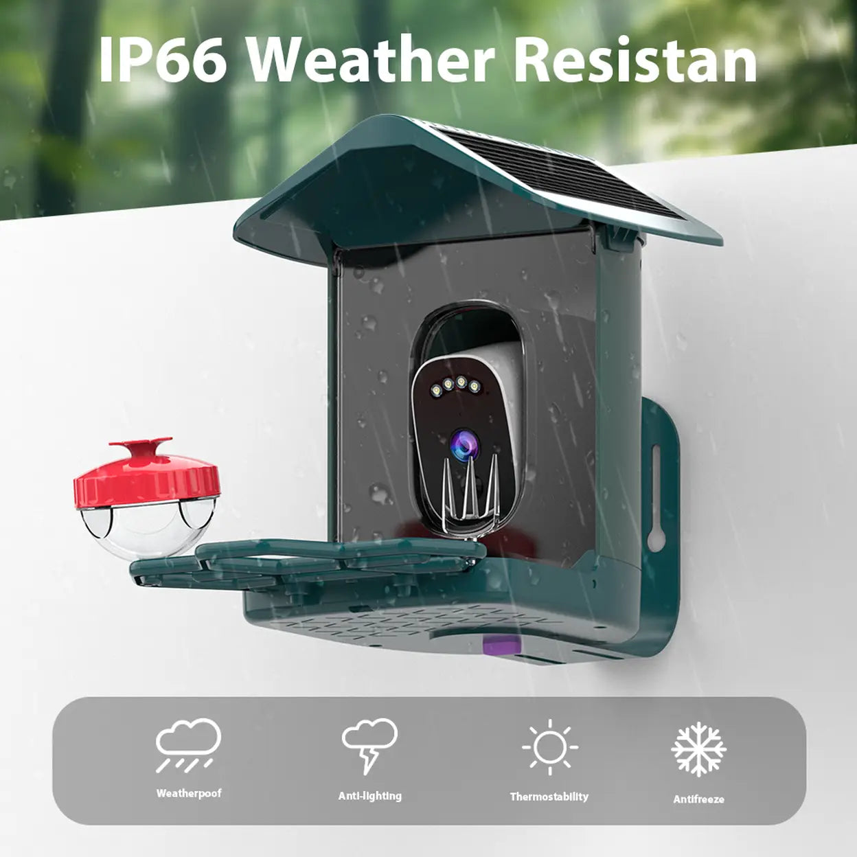 JOOAN Solar Smart Bird Feeder with 2K Camera & Live App View