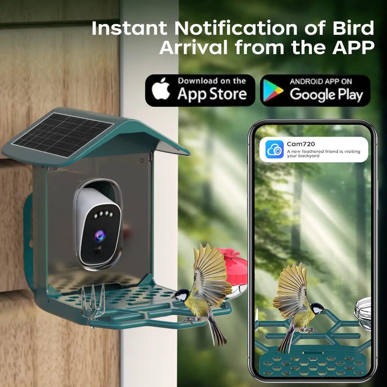 JOOAN Solar Smart Bird Feeder with 2K Camera & Live App View