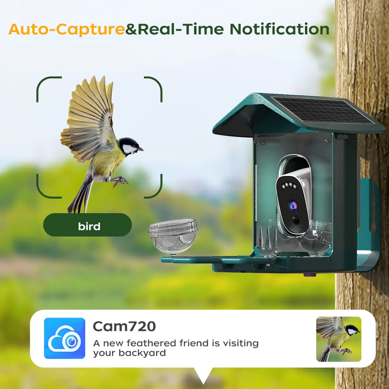JOOAN Solar Smart Bird Feeder with 2K Camera & Live App View