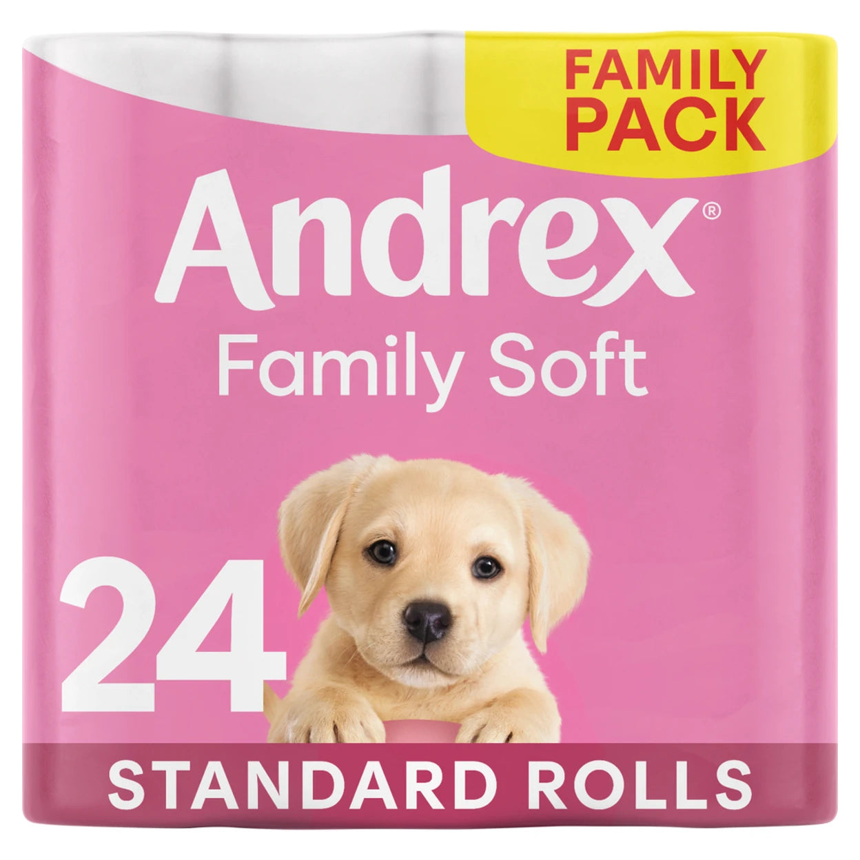 Andrex Family Soft Toilet Tissue, 2-Ply, 24 Rolls