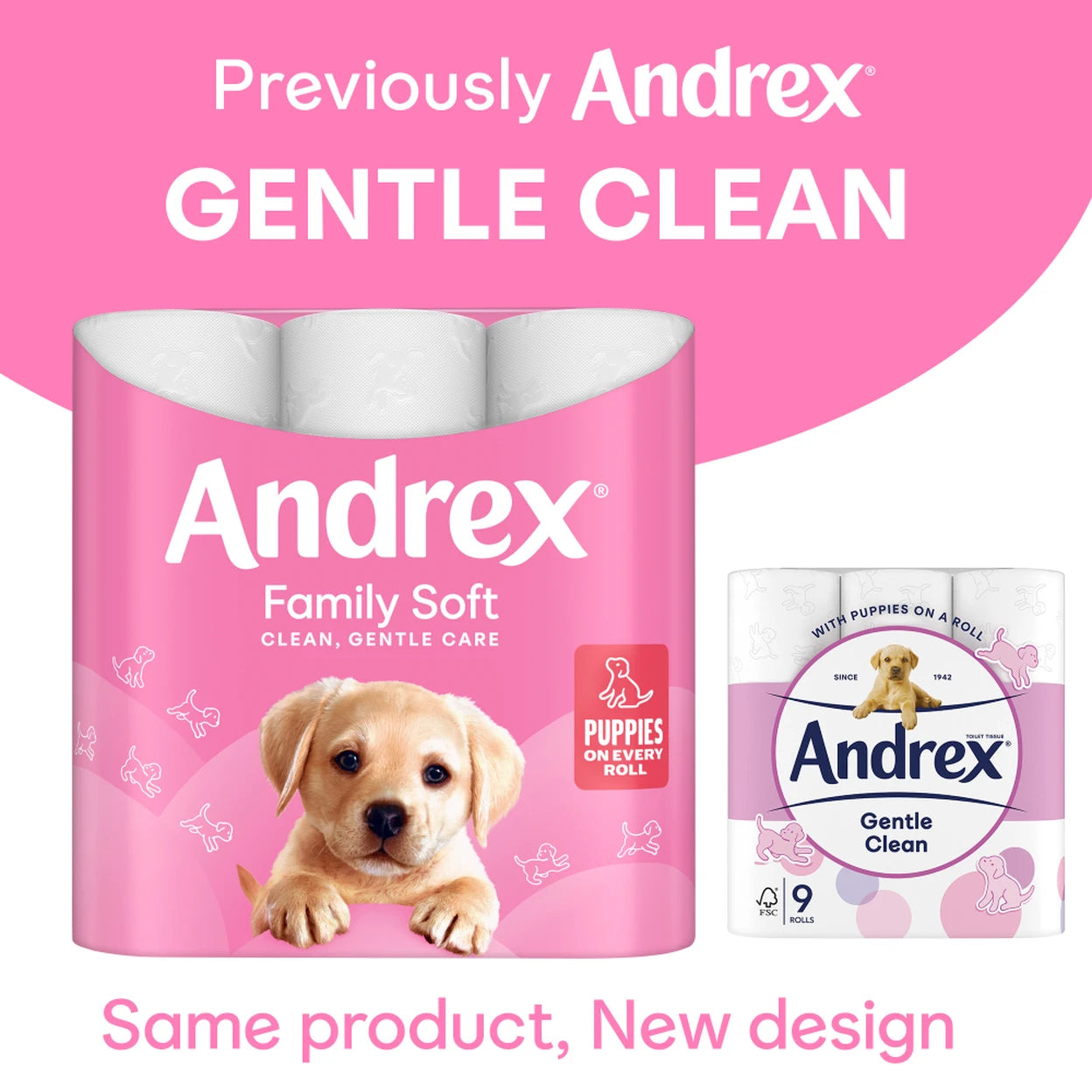 Andrex Family Soft Toilet Tissue, 2-Ply, 24 Rolls